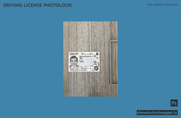 USA Wisconsin Führerschein Fotoansicht 2023-heute